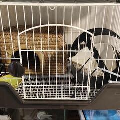 小動物ゲージ・おでかけ用ゲージ・水槽