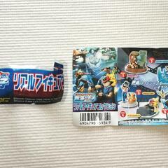 ポケモン リアルフィギュアコレクション ハルカとマナフィの画像
