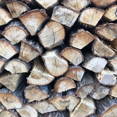 ◆期間限定セール★ナラ乾燥薪250キロ★サービス有り★ ナラ乾燥薪40cm大中割 箱入（北陸A）