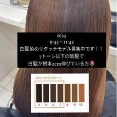 完全無料✨白髪染めリタッチモデル募集！！