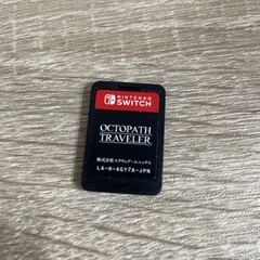 Switch OCTPATHtraveler