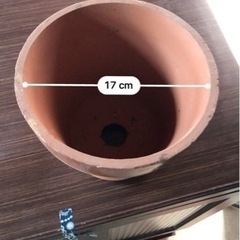 植木鉢①
