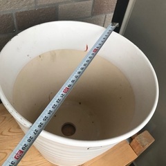 白い陶器の植木鉢Cの画像