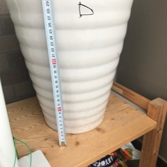 白い陶器の植木鉢Dの画像