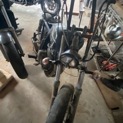バイク ホンダ(決まりました)
の画像