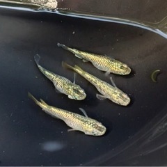 終了しました。の画像