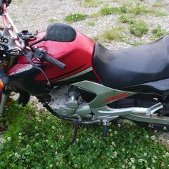 YBR250 ヤマハ インジェクション 250clの画像