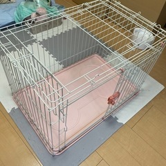 【無料】わんちゃんのゲージ　犬　
