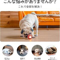 Cheerble 犬ボール 第二世代 犬おもちゃ  3モード選択可能 天然ゴム製  DC2.5充電式 ストレス解消 お留守番に 運動不足対策  レッドの画像