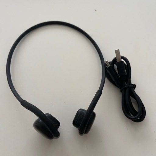 家電 オーディオ ヘッドフォン