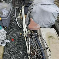 [確定]自転車