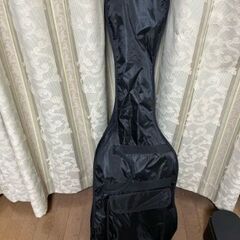 ＢＡＳＳ用ソフトケースの画像
