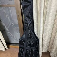 ＢＡＳＳ用ソフトケース