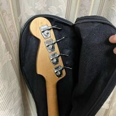 ＢＡＳＳ用ソフトケースの画像