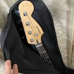 ＢＡＳＳ用ソフトケースの画像