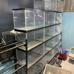 60cm水槽　水槽用品　水槽機材　の画像