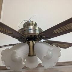 家具 照明器具の画像