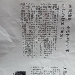 黒米