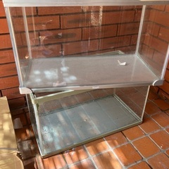 水槽の画像