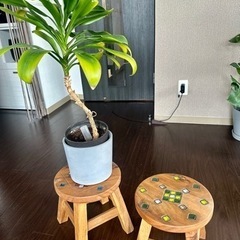 小椅子　おしゃれの画像