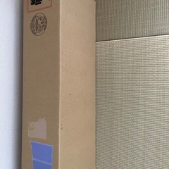 【未開封　新品】ダイソン　サイクロン　V10の画像