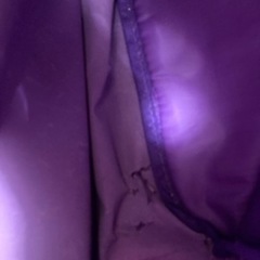 アナ雪　リュックの画像