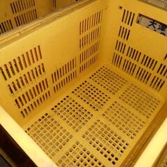 20キロコンテナ　穴あき　使用度少ない　艶あり　⑤　1個の価格