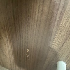 決まりました。ありがとうございました！絵本、おもちゃ、収納の画像