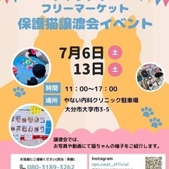 保護猫ちゃん🐱譲渡会🐱フリーマーケット👕👖