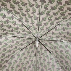 紫と緑の花の傘の画像