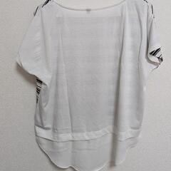 ボーダー 夏 さらり Tシャツ 服/ファッション カットソーの画像