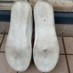 キャンパスシューズの画像