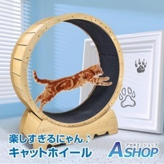 キャットホイールの中古が安い！激安で譲ります・無料であげます