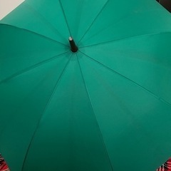 緑の傘