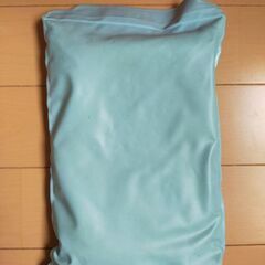 雑貨　ニューアイスの画像