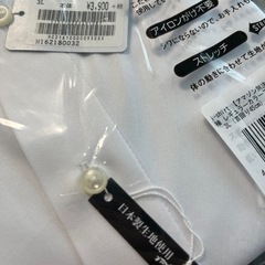 ⑤ アイシャツ ishirt 完全ノーアイロン 速乾 半袖レギュラー  3L の画像