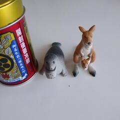 シャクレールプラネット(カンガルー、アザラシ)