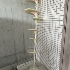 キャットタワー