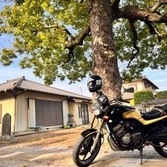 ジェイド250 ホンダ 交換可の画像