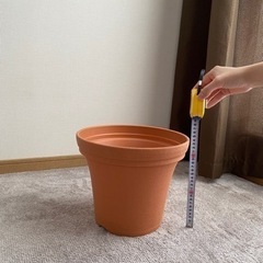 大きめの植木鉢🪴