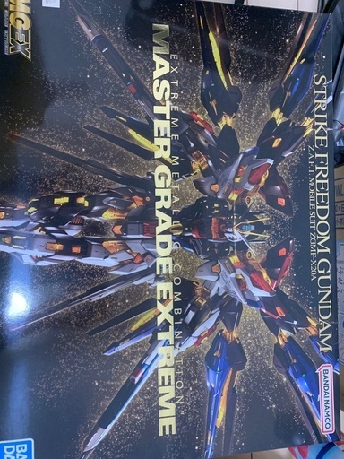 MGEXストライクフリーダム