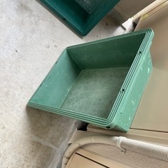 トロフネ×2個の画像