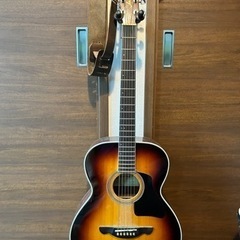 James JF400 ギター