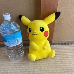 取引終了ピカチュウぬいぐるみ