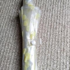 ビニール傘 長傘 水玉 薄黄色 の画像