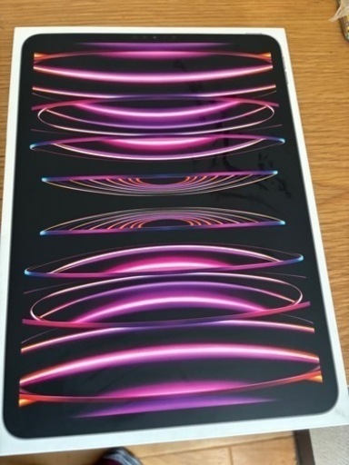 iPad Pro１１インチM２