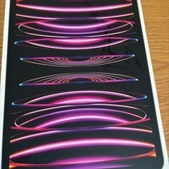 iPad Pro１１インチM２