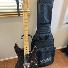 エレキギター　SCHECTER NVシリーズ　の画像