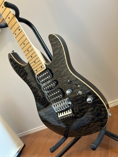 エレキギター　SCHECTER NVシリーズ　