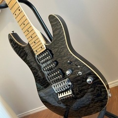 エレキギター　SCHECTER NVシリーズ　の画像